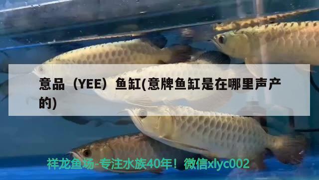 意品（YEE）魚缸(意牌魚缸是在哪里聲產(chǎn)的) yee