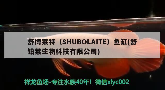 舒博萊特（SHUBOLAITE）魚缸(舒鉑萊生物科技有限公司)