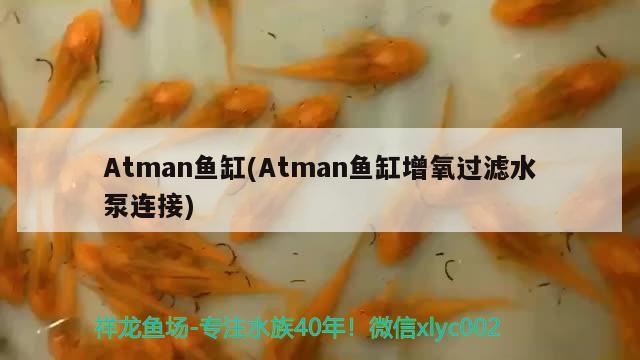 Atman魚缸(Atman魚缸增氧過濾水泵連接) 其他品牌魚缸