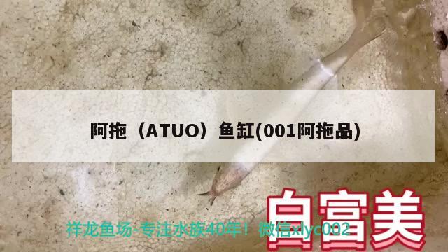 阿拖（ATUO）魚缸(001阿拖品) 其他品牌魚缸