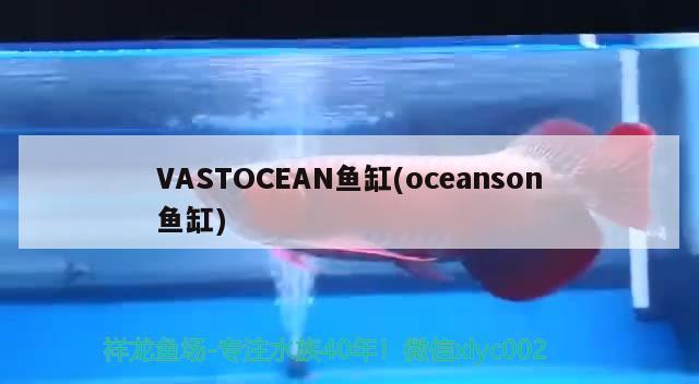 VASTOCEAN魚缸(oceanson魚缸) 其他品牌魚缸