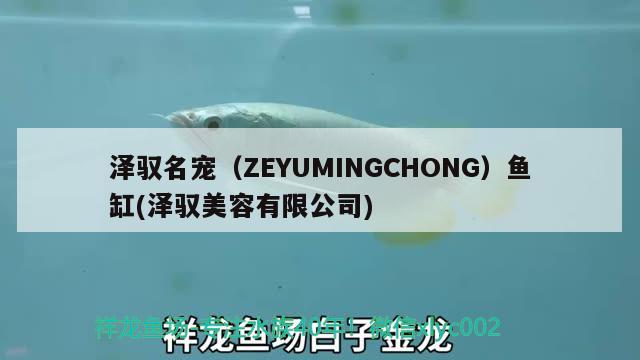 澤馭名寵（ZEYUMINGCHONG）魚缸(澤馭美容有限公司)