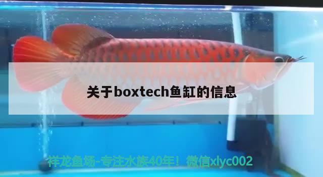 關(guān)于boxtech魚缸的信息