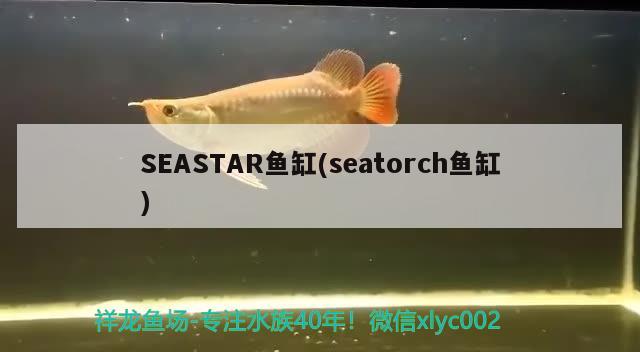 SEASTAR魚缸(seatorch魚缸)