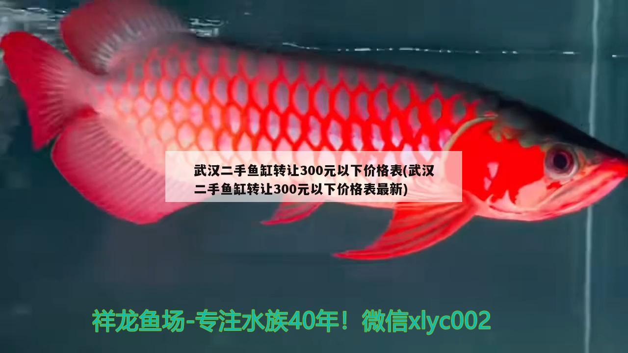 武漢二手魚缸轉讓300元以下價格表(武漢二手魚缸轉讓300元以下價格表最新) 虎魚魚苗