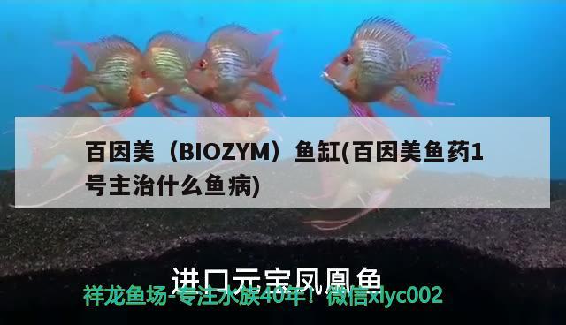 百因美（BIOZYM）魚缸(百因美魚藥1號主治什么魚病) 其他品牌魚缸