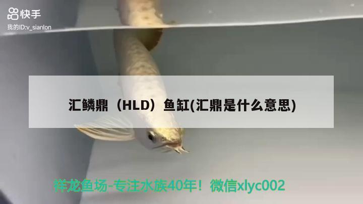 匯鱗鼎（HLD）魚缸(匯鼎是什么意思) 其他品牌魚缸