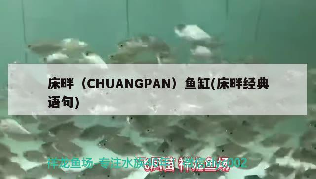 床畔（CHUANGPAN）魚缸(床畔經(jīng)典語(yǔ)句)