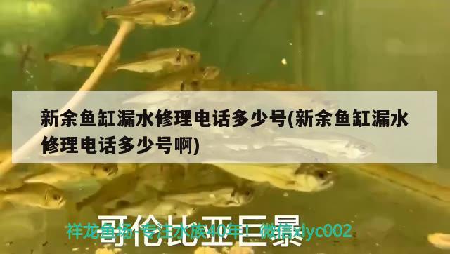 新余魚缸漏水修理電話多少號(新余魚缸漏水修理電話多少號啊)