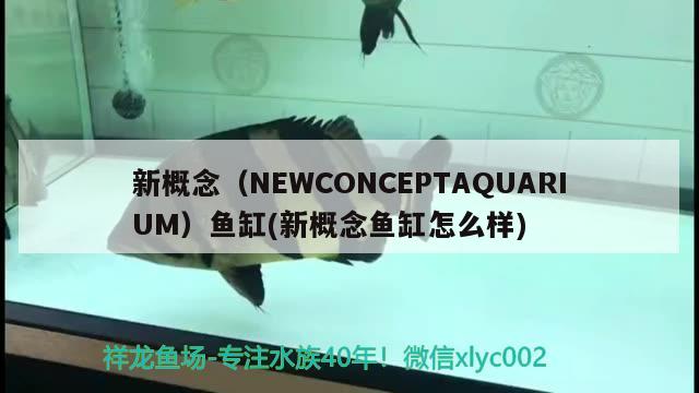 新概念（NEWCONCEPTAQUARIUM）魚缸(新概念魚缸怎么樣)