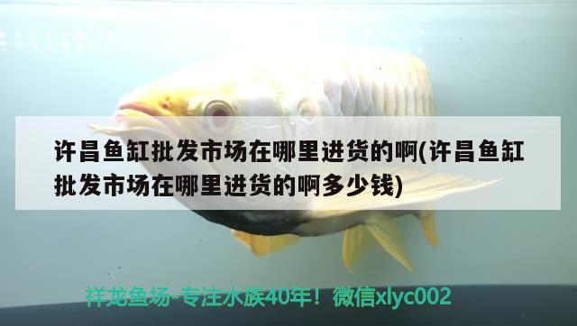 許昌魚(yú)缸批發(fā)市場(chǎng)在哪里進(jìn)貨的啊(許昌魚(yú)缸批發(fā)市場(chǎng)在哪里進(jìn)貨的啊多少錢)