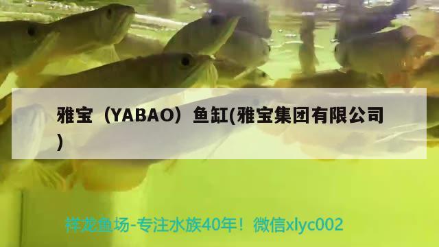 雅寶（YABAO）魚缸(雅寶集團有限公司) 其他品牌魚缸 第2張