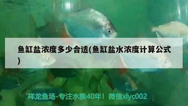 魚(yú)缸鹽濃度多少合適(魚(yú)缸鹽水濃度計(jì)算公式) 埃及神仙魚(yú)