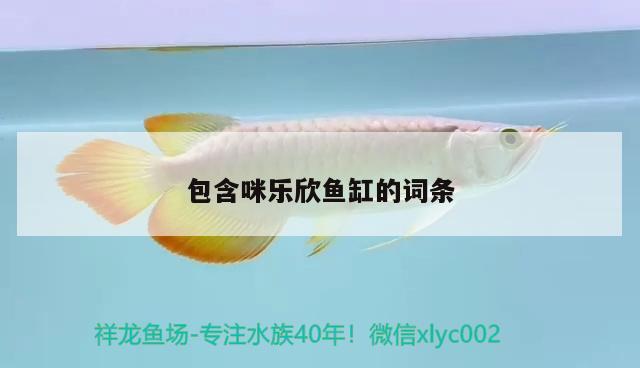 包含咪樂欣魚缸的詞條