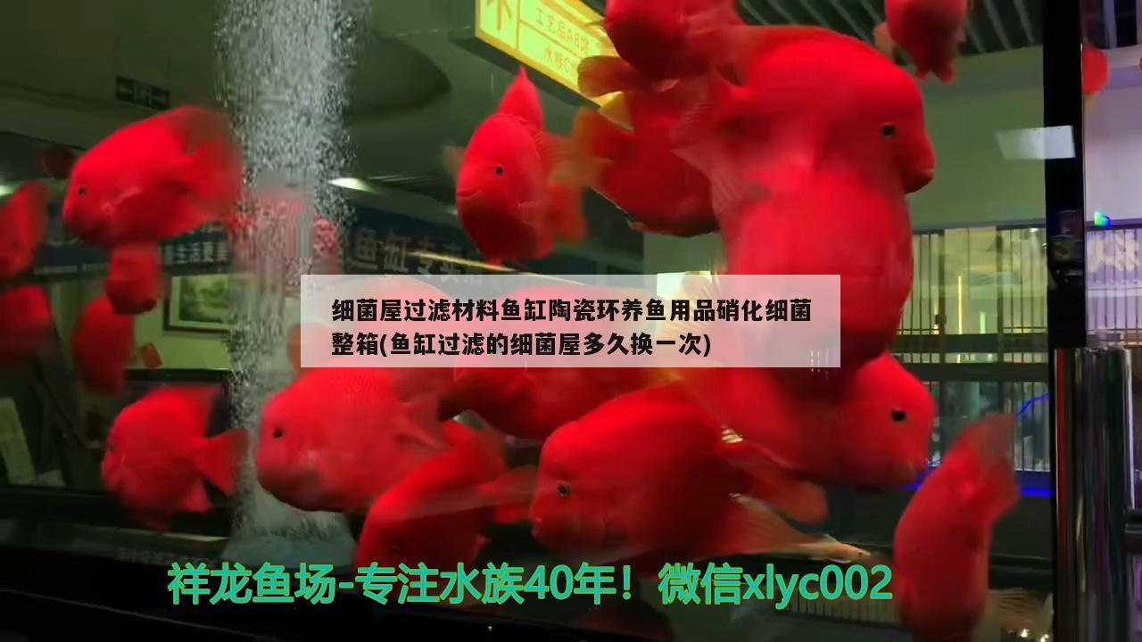 細(xì)菌屋過濾材料魚缸陶瓷環(huán)養(yǎng)魚用品硝化細(xì)菌整箱(魚缸過濾的細(xì)菌屋多久換一次) 硝化細(xì)菌