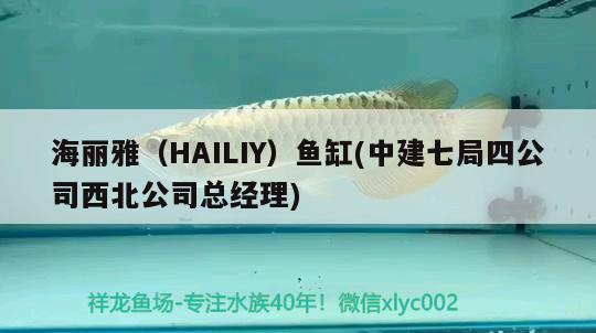 海麗雅（HAILIY）魚缸(中建七局四公司西北公司總經(jīng)理) 其他品牌魚缸