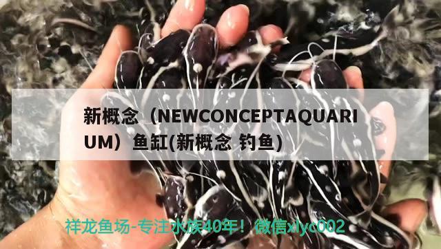 新概念（NEWCONCEPTAQUARIUM）魚缸(新概念釣魚)