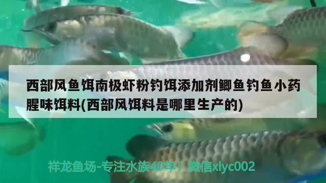 西部風魚餌南極蝦粉釣餌添加劑鯽魚釣魚小藥腥味餌料(西部風餌料是哪里生產的) 垂釣樂園