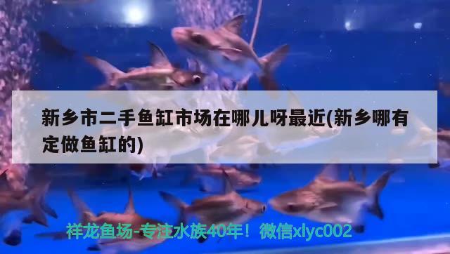 新鄉(xiāng)市二手魚缸市場(chǎng)在哪兒呀最近(新鄉(xiāng)哪有定做魚缸的)