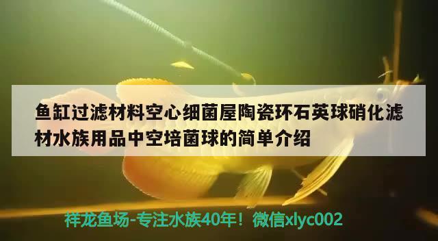 魚(yú)缸過(guò)濾材料空心細(xì)菌屋陶瓷環(huán)石英球硝化濾材水族用品中空培菌球的簡(jiǎn)單介紹 水族用品