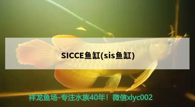 SICCE魚缸(sis魚缸) 其他品牌魚缸