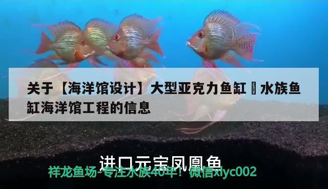 關(guān)于【海洋館設(shè)計】大型亞克力魚缸?水族魚缸海洋館工程的信息