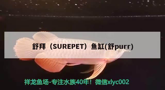 舒拜（SUREPET）魚缸(舒purr) 垂釣樂園