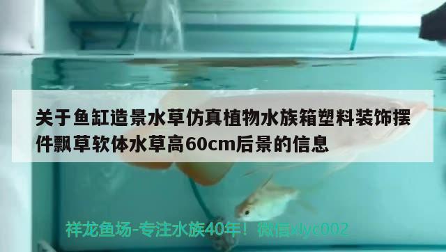 關(guān)于魚缸造景水草仿真植物水族箱塑料裝飾擺件飄草軟體水草高60cm后景的信息