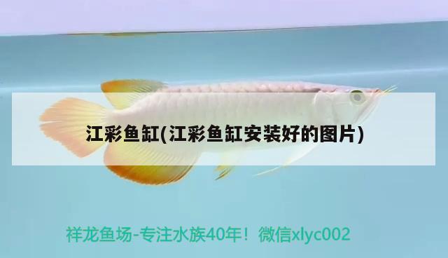 江彩魚缸(江彩魚缸安裝好的圖片)