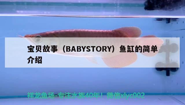 寶貝故事（BABYSTORY）魚缸的簡單介紹 其他品牌魚缸