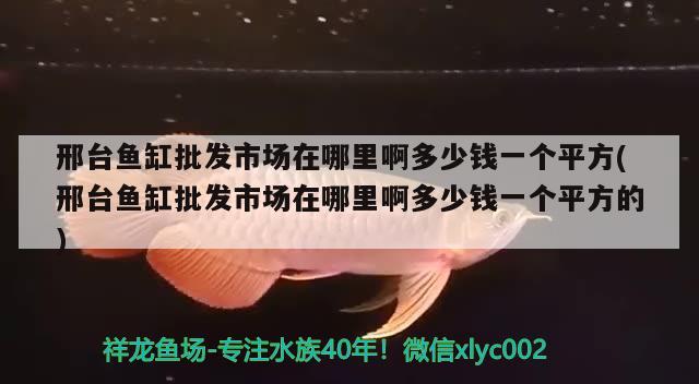 邢臺魚缸批發(fā)市場在哪里啊多少錢一個(gè)平方(邢臺魚缸批發(fā)市場在哪里啊多少錢一個(gè)平方的) 彩鰈魚缸（彩蝶魚缸）