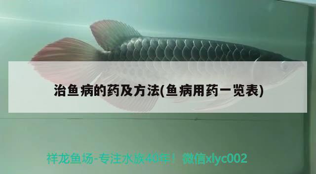 治魚(yú)病的藥及方法(魚(yú)病用藥一覽表)