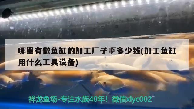 哪里有做魚缸的加工廠子啊多少錢(加工魚缸用什么工具設備) 赤荔鳳冠魚