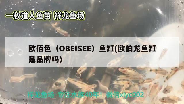 歐佰色（OBEISEE）魚缸(歐伯龍魚缸是品牌嗎)