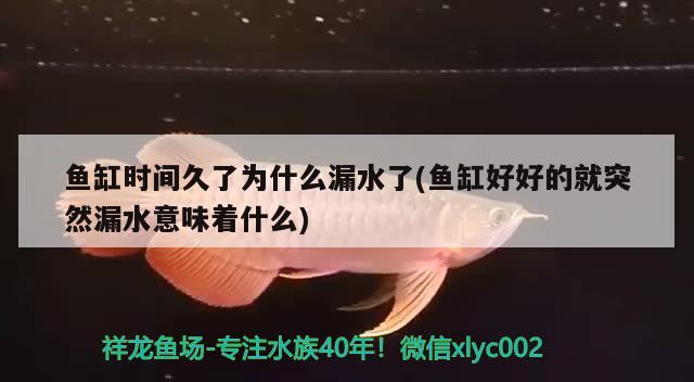 魚(yú)缸時(shí)間久了為什么漏水了(魚(yú)缸好好的就突然漏水意味著什么) 充氧泵