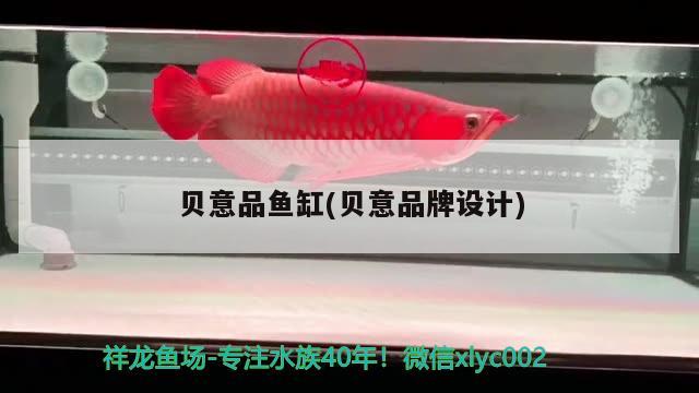 貝意品魚缸(貝意品牌設(shè)計)