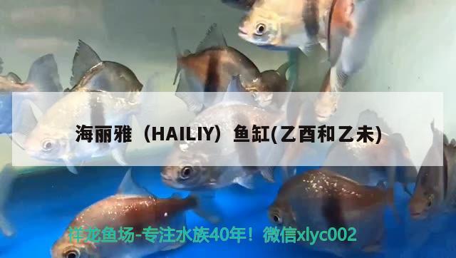 海麗雅（HAILIY）魚(yú)缸(乙酉和乙未)