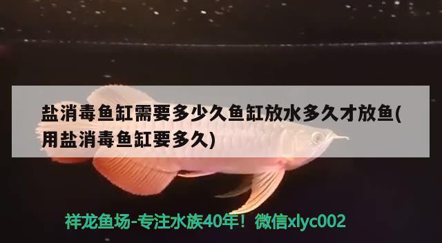 鹽消毒魚缸需要多少久魚缸放水多久才放魚(用鹽消毒魚缸要多久)