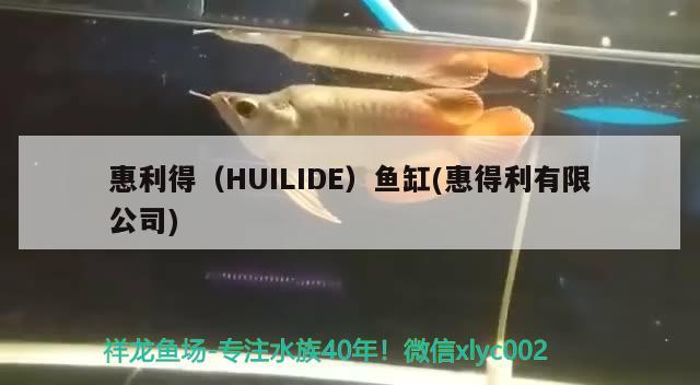 惠利得（HUILIDE）魚缸(惠得利有限公司) 其他品牌魚缸