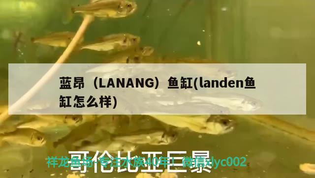 藍(lán)昂（LANANG）魚缸(landen魚缸怎么樣)