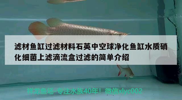 濾材魚缸過濾材料石英中空球凈化魚缸水質(zhì)硝化細菌上濾滴流盒過濾的簡單介紹