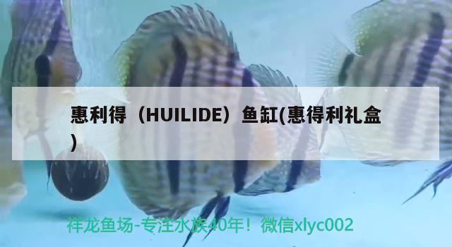 惠利得（HUILIDE）魚缸(惠得利禮盒) 其他品牌魚缸