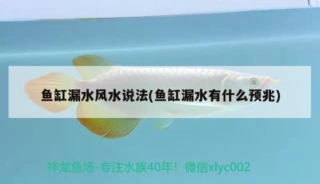 魚缸漏水風水說法(魚缸漏水有什么預(yù)兆) 魚缸風水