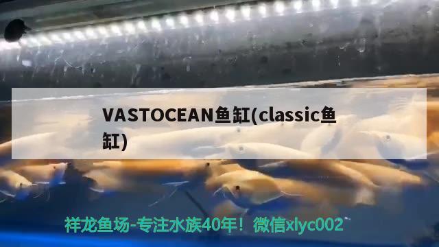 VASTOCEAN魚缸(classic魚缸) 其他品牌魚缸