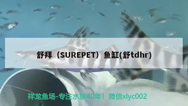 舒拜（SUREPET）魚(yú)缸(舒tdhr) 垂釣樂(lè)園