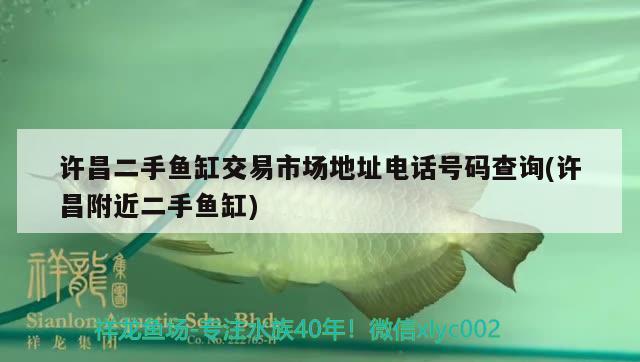 許昌二手魚缸交易市場(chǎng)地址電話號(hào)碼查詢(許昌附近二手魚缸) 水族世界