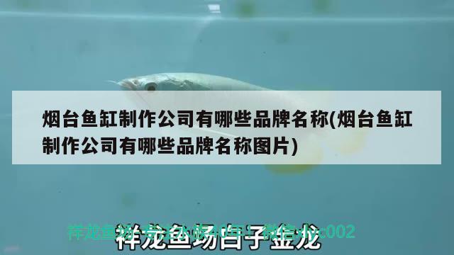 煙臺魚缸制作公司有哪些品牌名稱(煙臺魚缸制作公司有哪些品牌名稱圖片) 銀龍魚苗