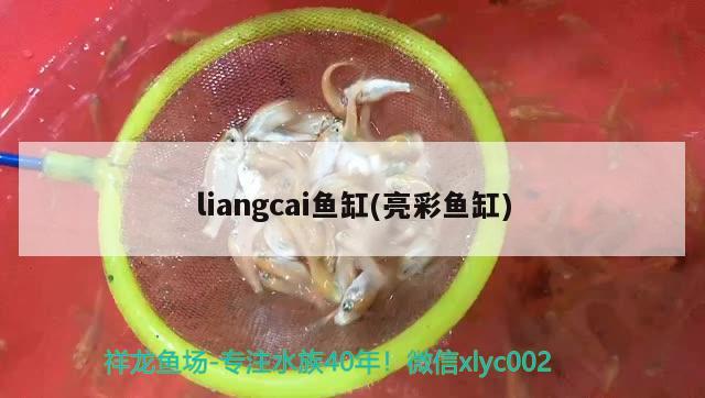 liangcai魚缸(亮彩魚缸)