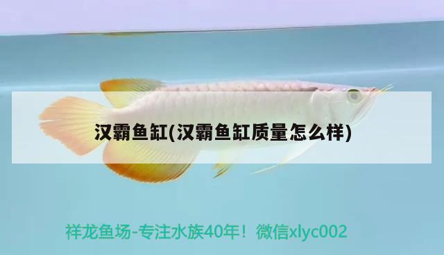 漢霸魚缸(漢霸魚缸質(zhì)量怎么樣)