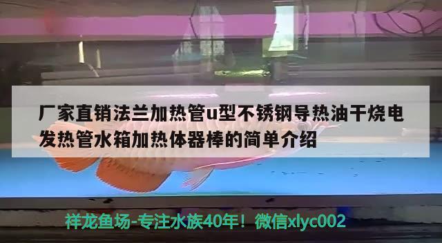 廠家直銷法蘭加熱管u型不銹鋼導(dǎo)熱油干燒電發(fā)熱管水箱加熱體器棒的簡(jiǎn)單介紹 水草